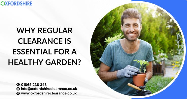 Why Regular Clearance is Essential for a Healthy Garden?
